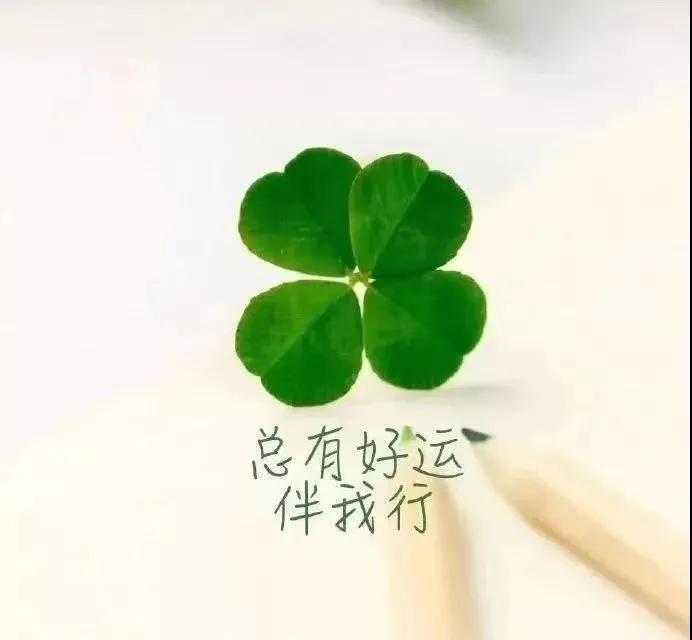 20句适合治愈自己心情的一句话,朋友圈心情治愈文案短句