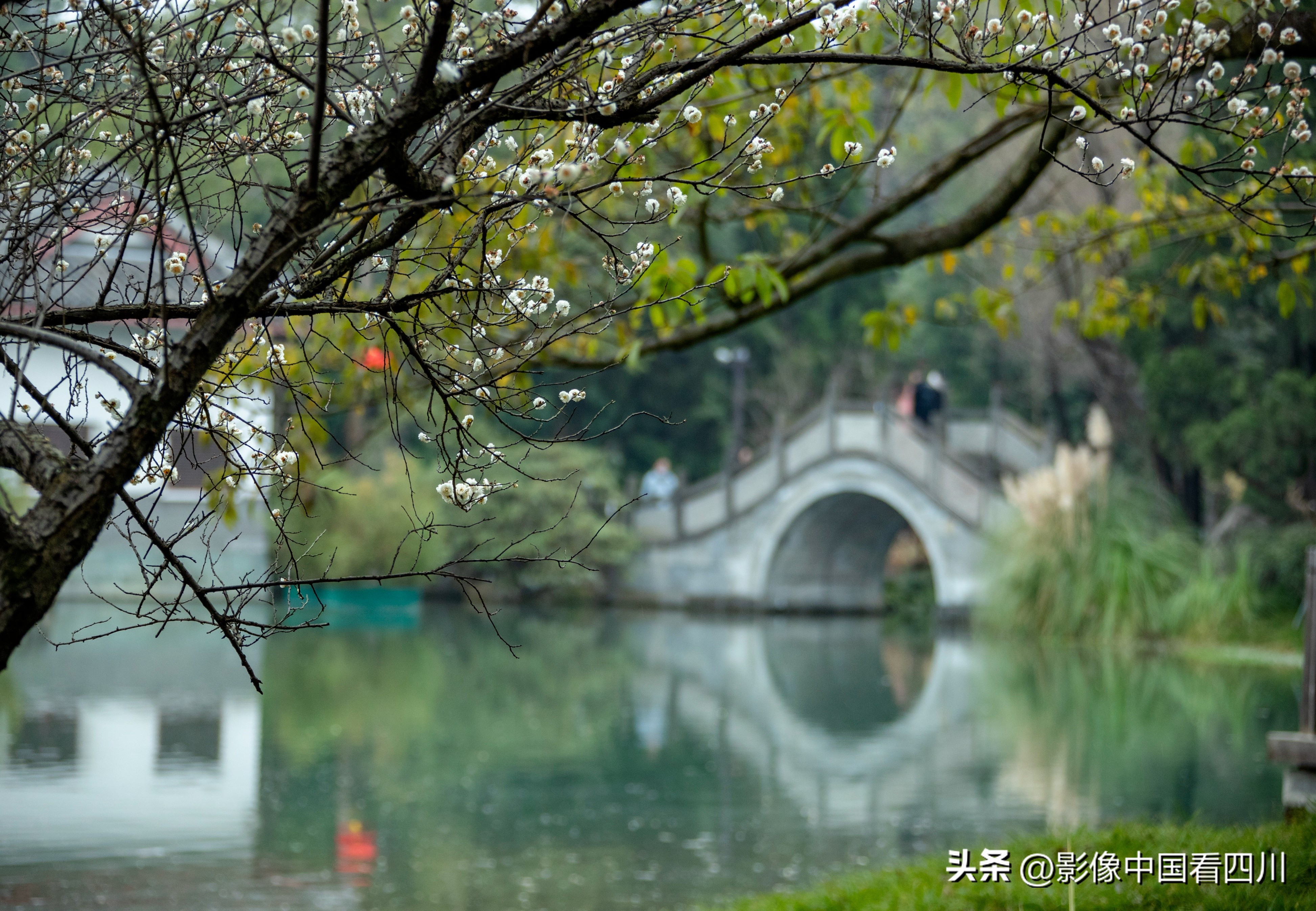 刘国兴的2022年:冬去春来,愿岁月静好(上集)