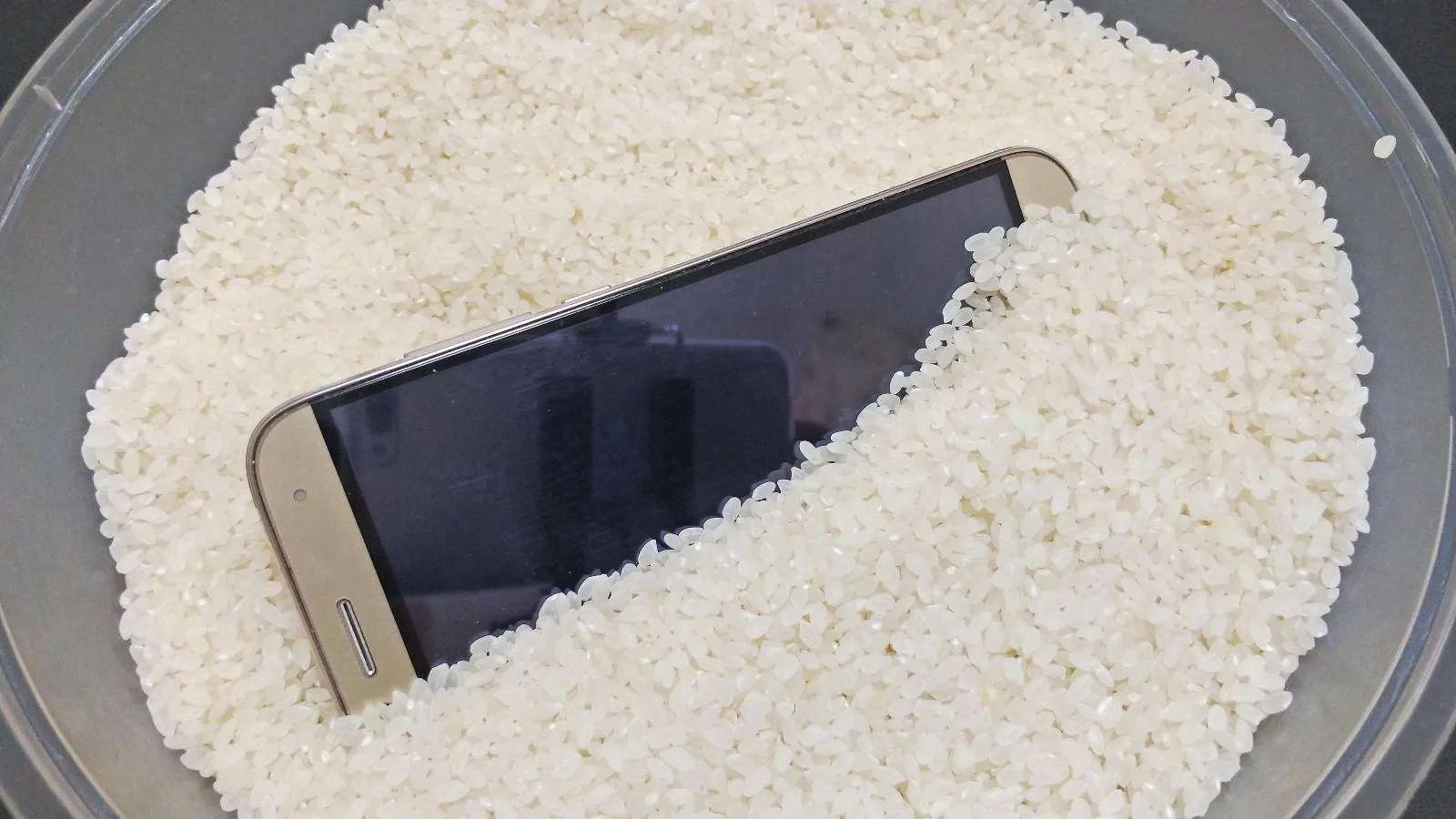 掉入水中的手机如何处理,掉进水里的手机怎么办