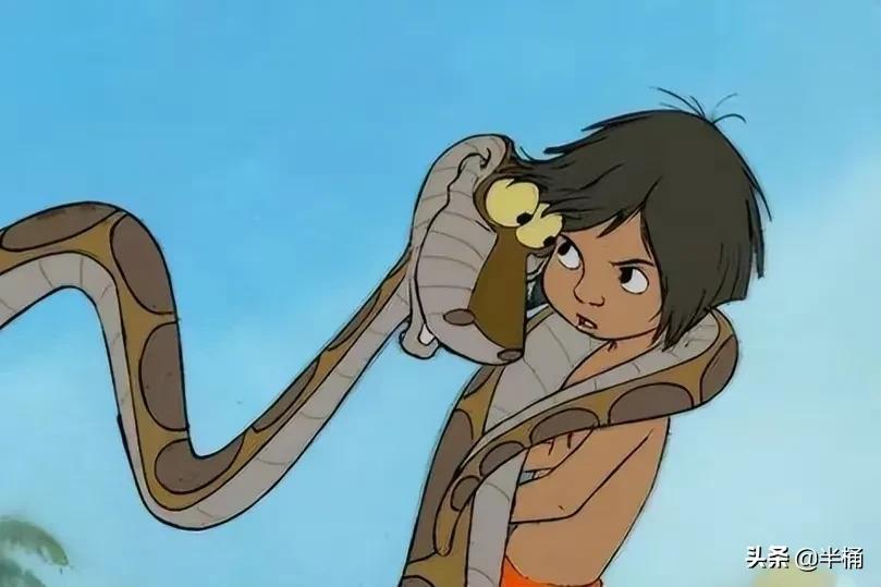 蛇出没的地方怎样预防,野外遇到蛇注意事项