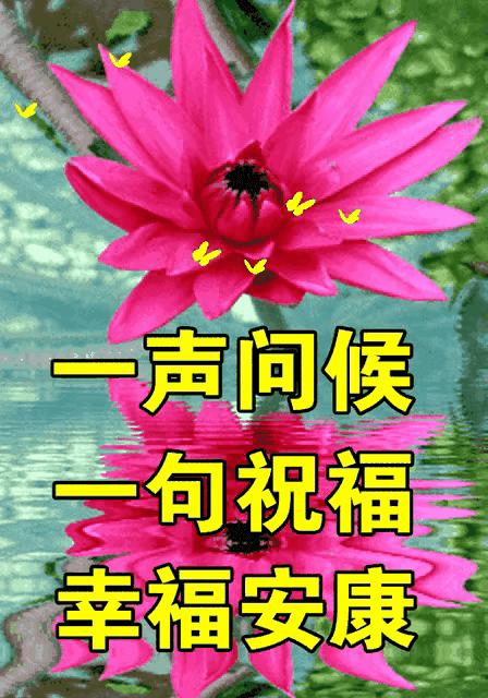 庚子日柱2023年癸卯年运势,癸卯年2023年哪个月出生最好