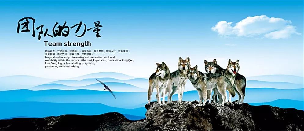 打造伟大的团队精神,五个故事五种智慧