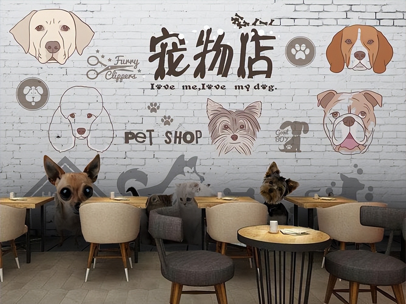 哪种狗子的寿命长,什么行业适合养狗