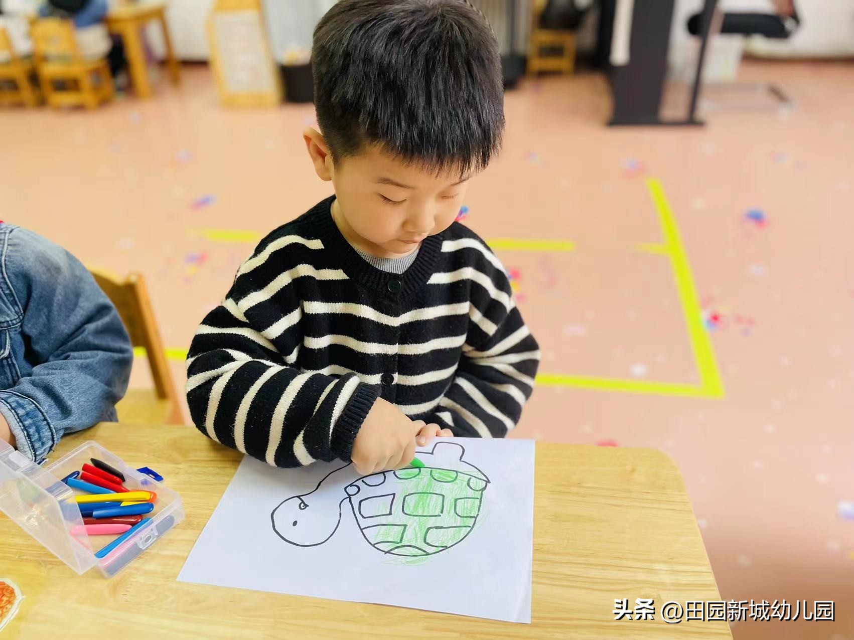 课程故事乌龟大班,嗨小鸭课程故事