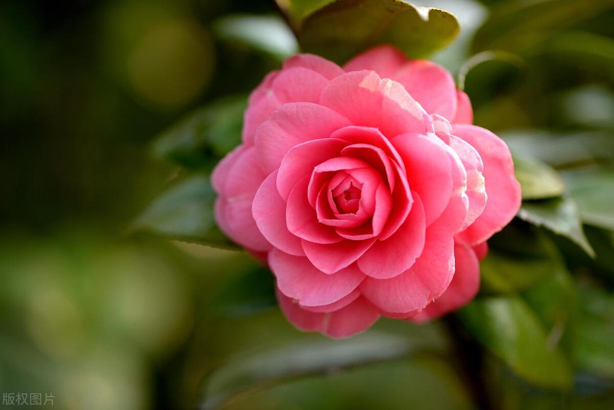 反诈电话提醒是真是假,电话智能反诈功能