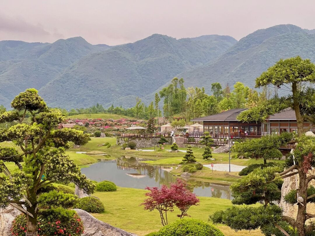 成都玫瑰花溪谷旅游攻略,成都玫瑰谷游玩攻略