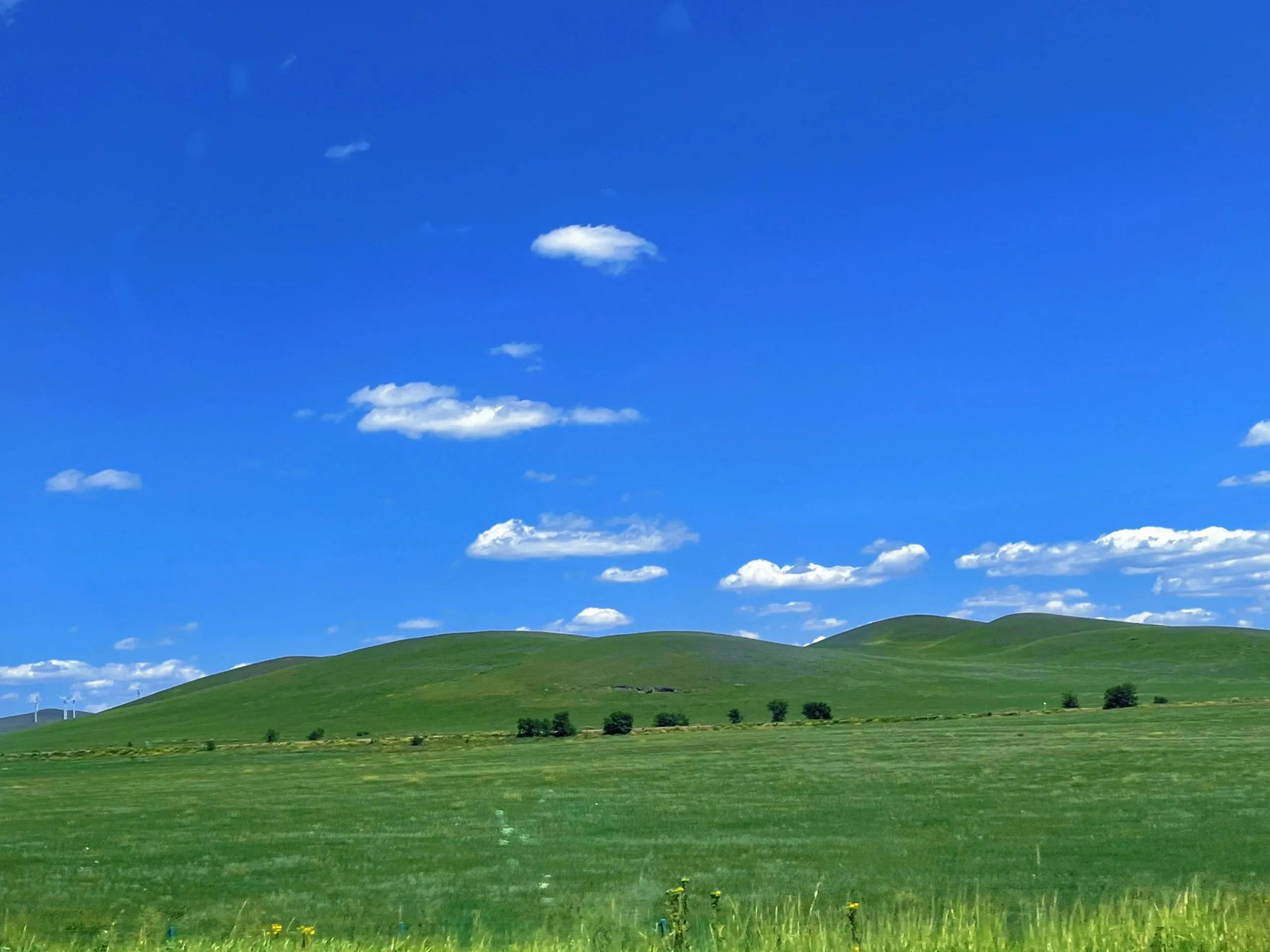 岳父岳母借钱可以借不,岳父岳母老是借钱