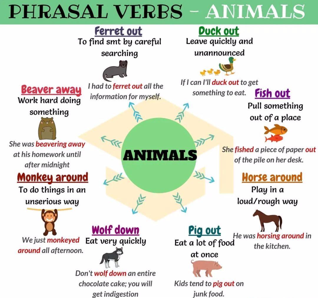 英语动词短语对应图画,英语动词表大全带图片