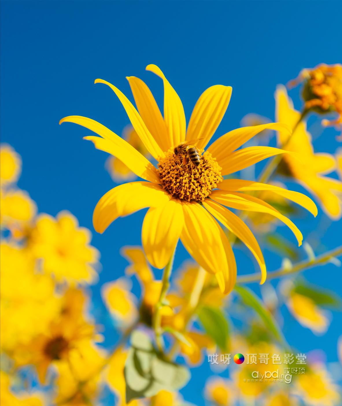女司机带娃去新疆自驾游,带着女司机自驾游兰州