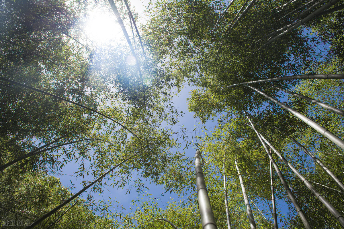 郭进拴重庆品火锅,郭进拴平湖春歌