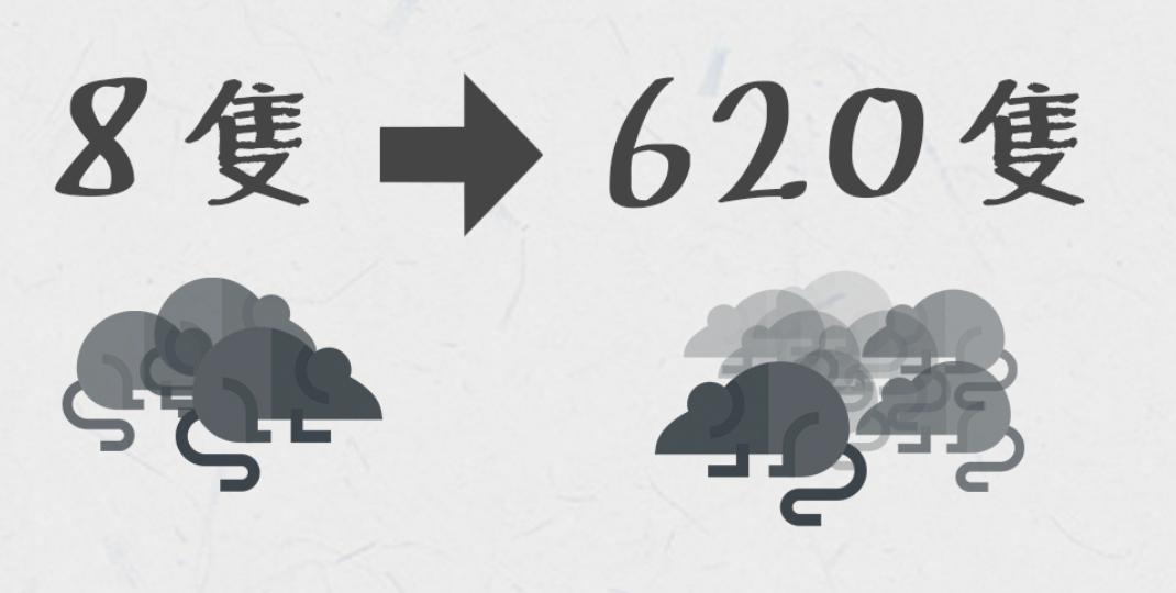 美国白鼠的繁衍,美国白鼠能繁衍多少只