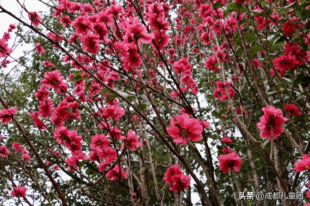 地铁3号线能到的美景地方,一号线地铁直达的风景