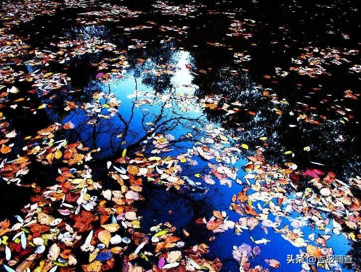 蔚蓝的天空清澈的河水,蔚蓝的天空碧绿的海水图片