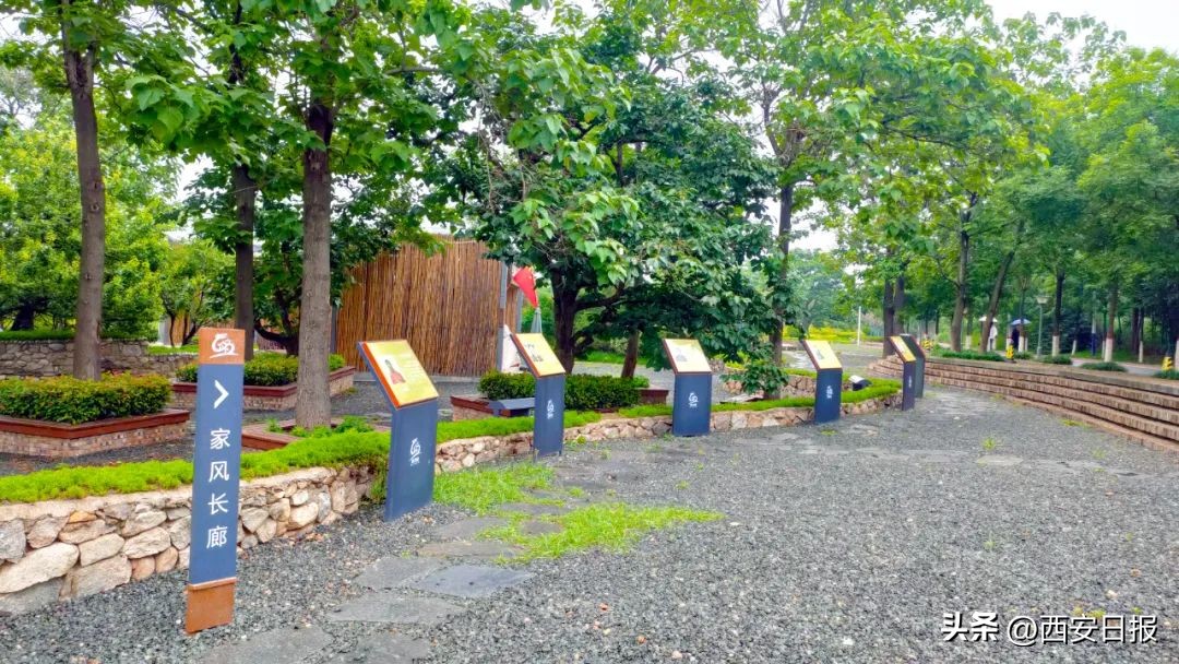 秋天是秦岭打卡网红圣地,秦岭网红打卡景点