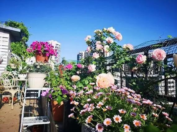 90后将天台改造成空中花园,90后姑娘回家改造楼顶花园