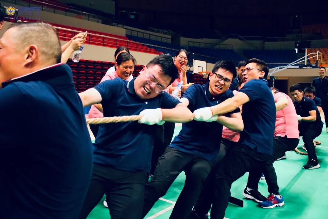 值得去的团建拓展推荐,团建最火的十个优雅项目