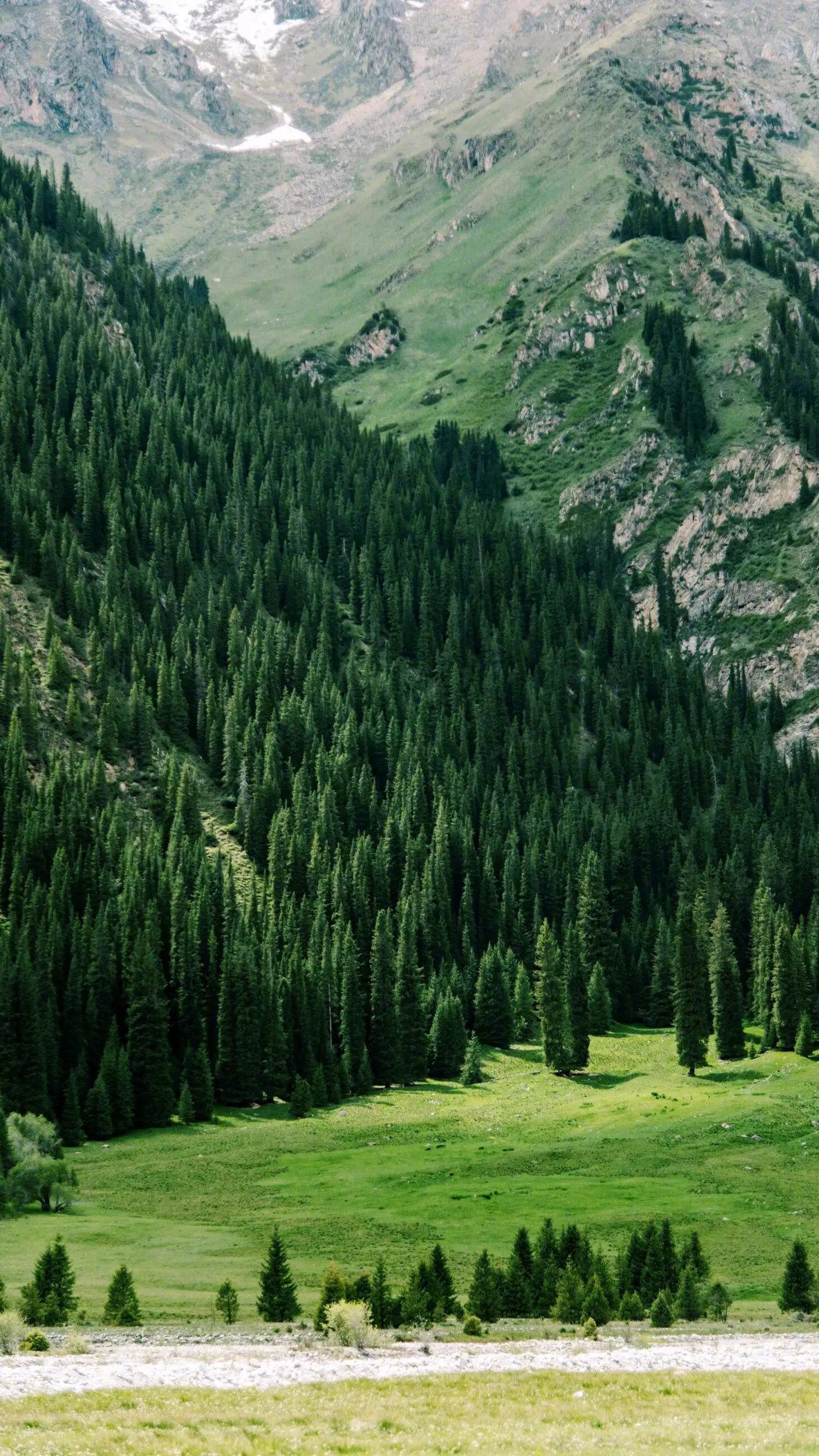 长安遗憾的句子,长安故里的唯美句子