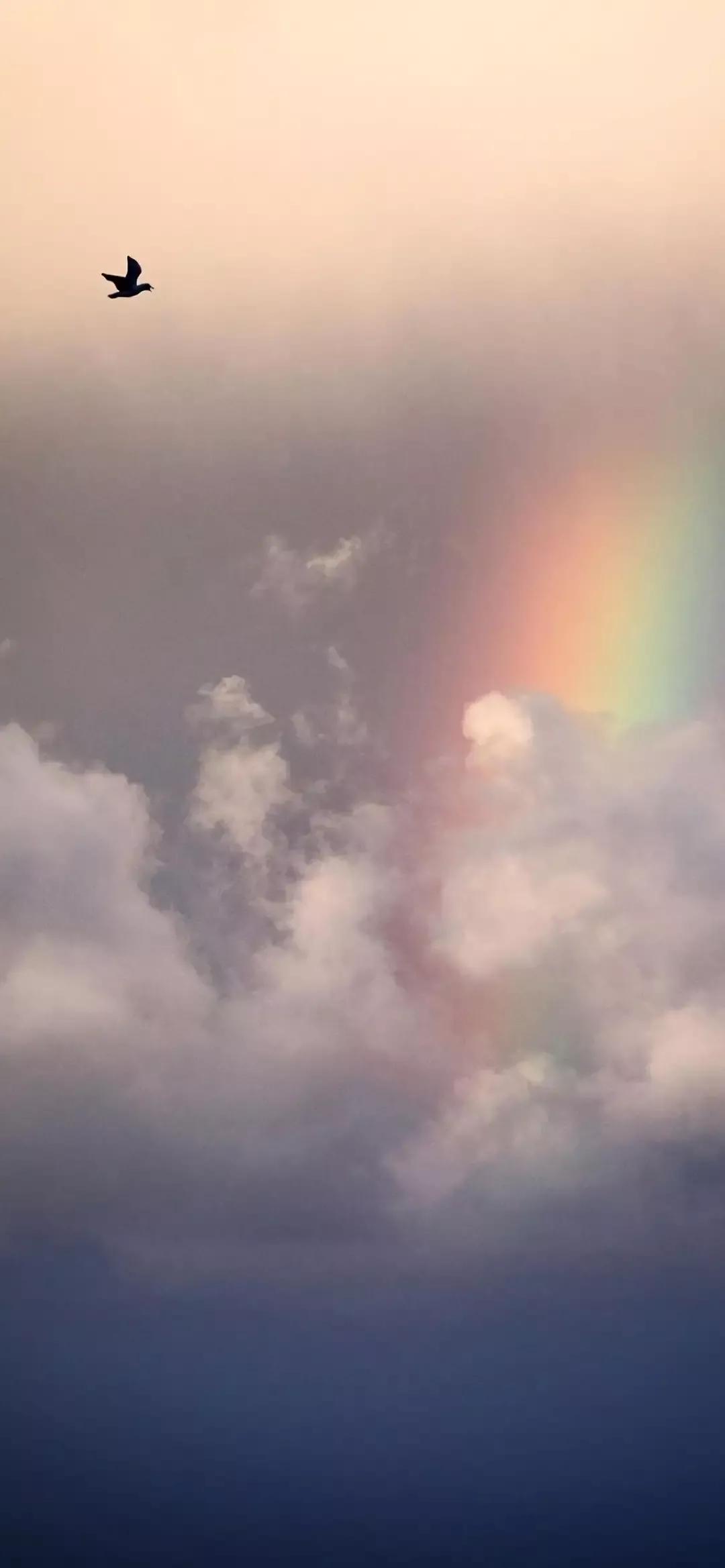 高清壁纸图片全屏干净高级,男士专用黑色美女全屏壁纸