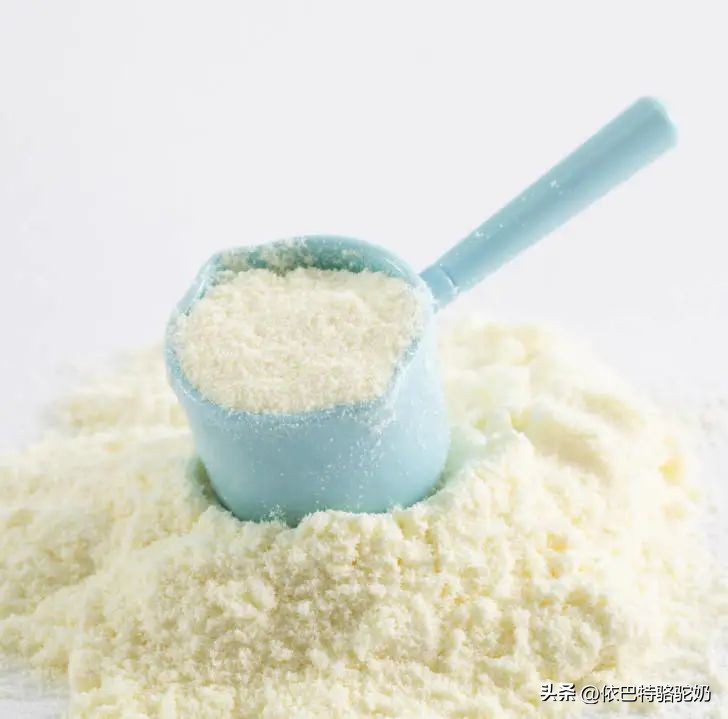 依巴特纯驼奶粉怎么样,依巴特驼奶粉是正宗驼奶吗