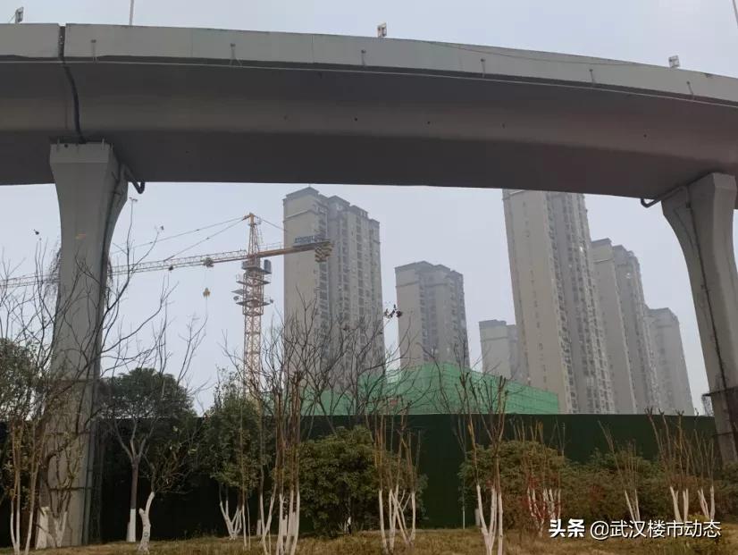 开年首日各地掀重大项目开工潮,武汉将打造哪20个亮点片区