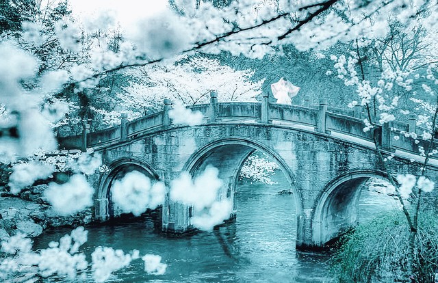 淡然一笑化茧为蝶,淡然一笑风吹而过