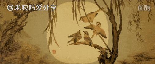 美哭了的动画片,8部绝美中国风动画推荐