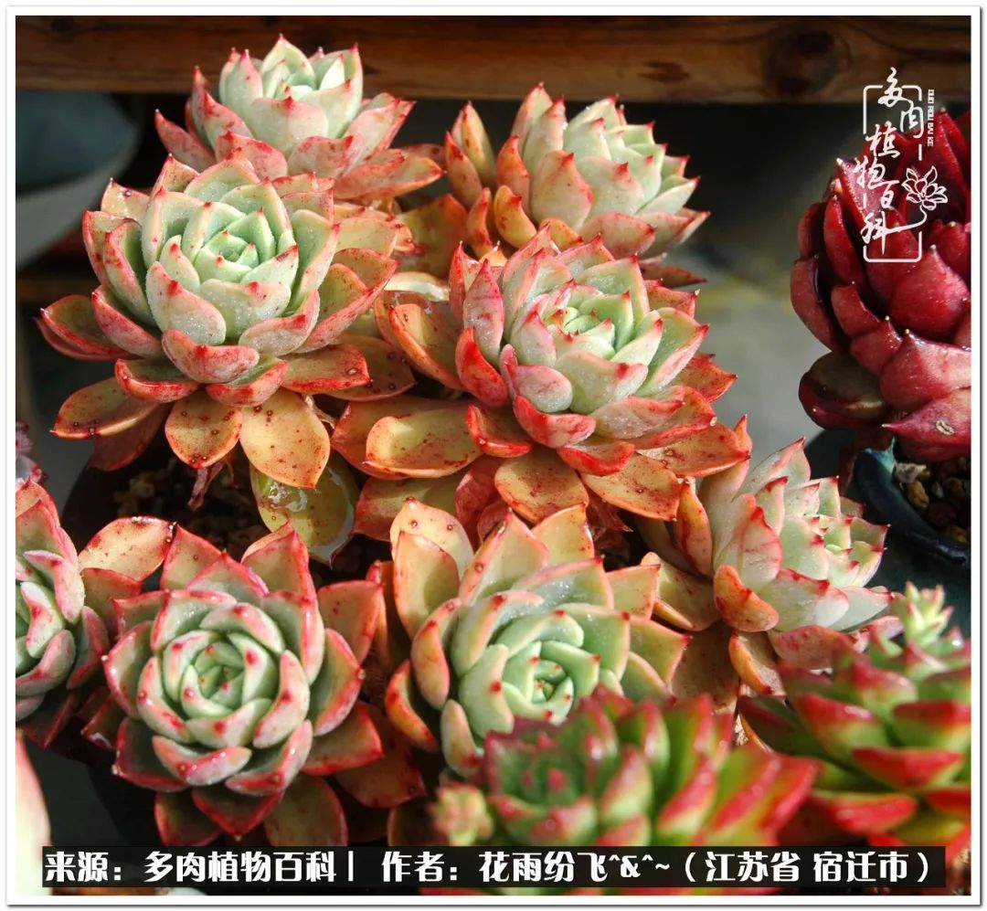 回味童年无忧无虑的快乐时光,童年最快乐的时光