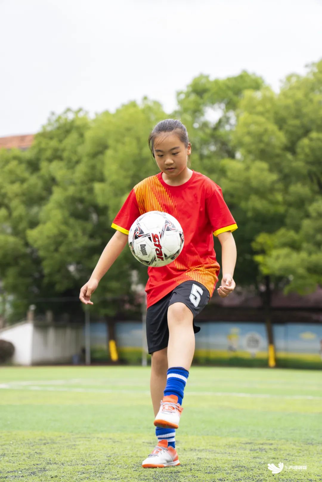 武汉市东西湖区比较好的学校,看东西湖有哪些好玩的地方