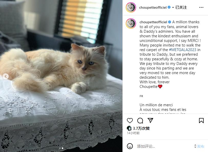 刘雯邓文迪,邓文迪杨紫琼