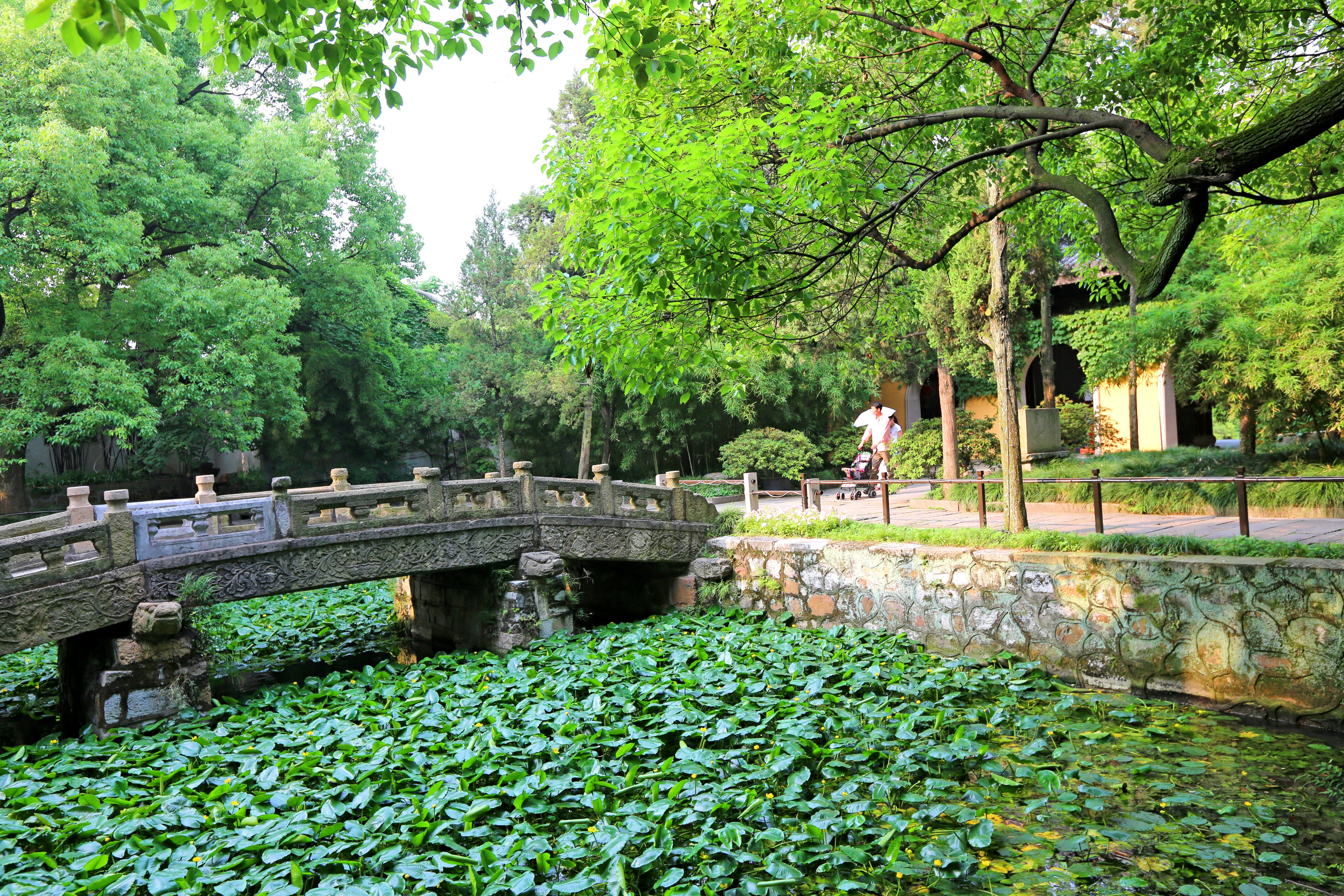 江苏共有11个古镇，无锡最值得去的古镇免门票，具有江南水乡特色