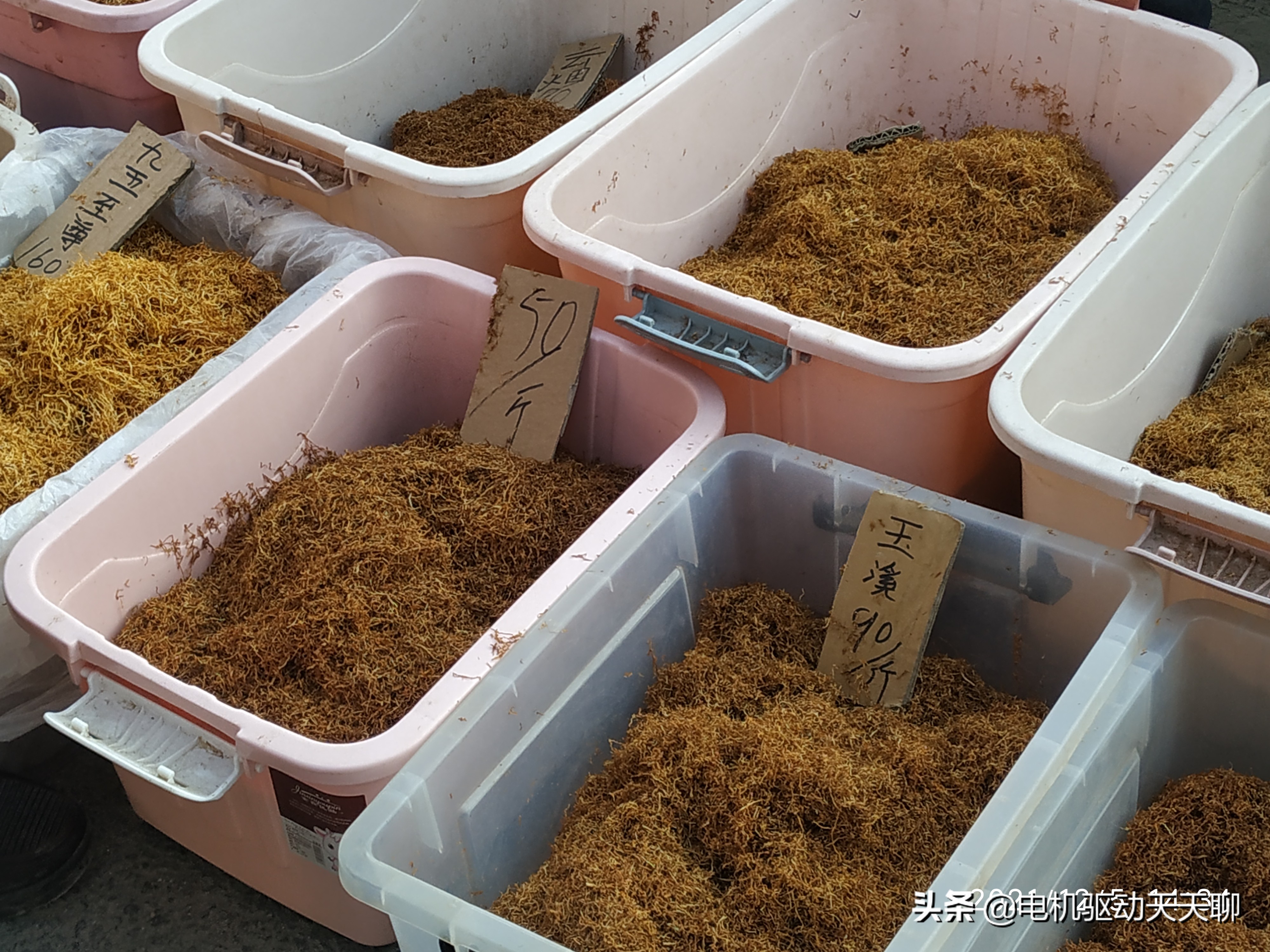 窦店田家园大集什么时间开放,房山窦店田家园大集现在开了吗