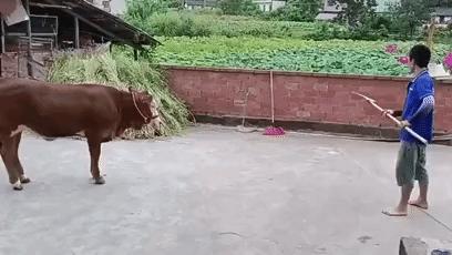 坐高铁遇到旁边老阿姨脱鞋,坐高铁遇到旁边阿姨脱鞋