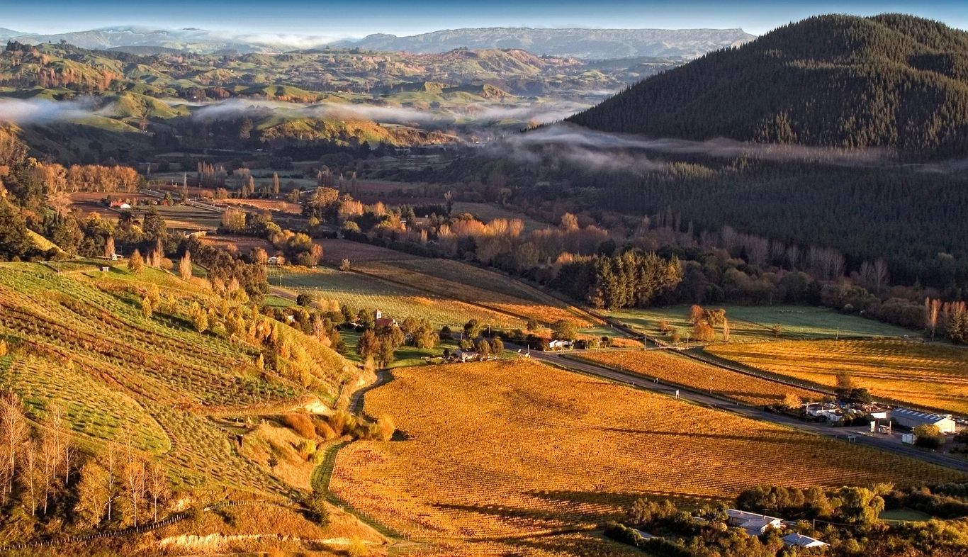 德玛酒庄公牛鼻：明媚纯净的霍克斯湾西拉