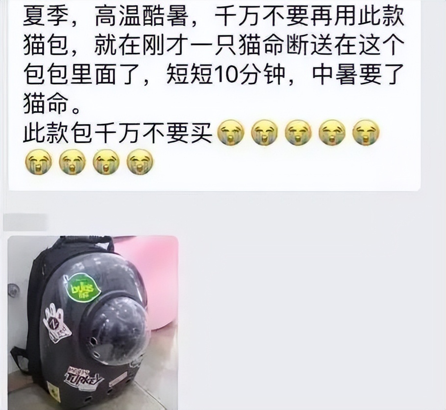 害死猫的网红饰品,盘点那些被人害死的网红猫