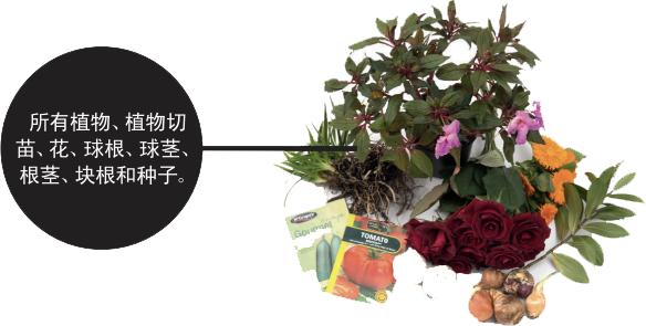 入境新西兰不能带什么物品,明明是很常见的为啥要躲开