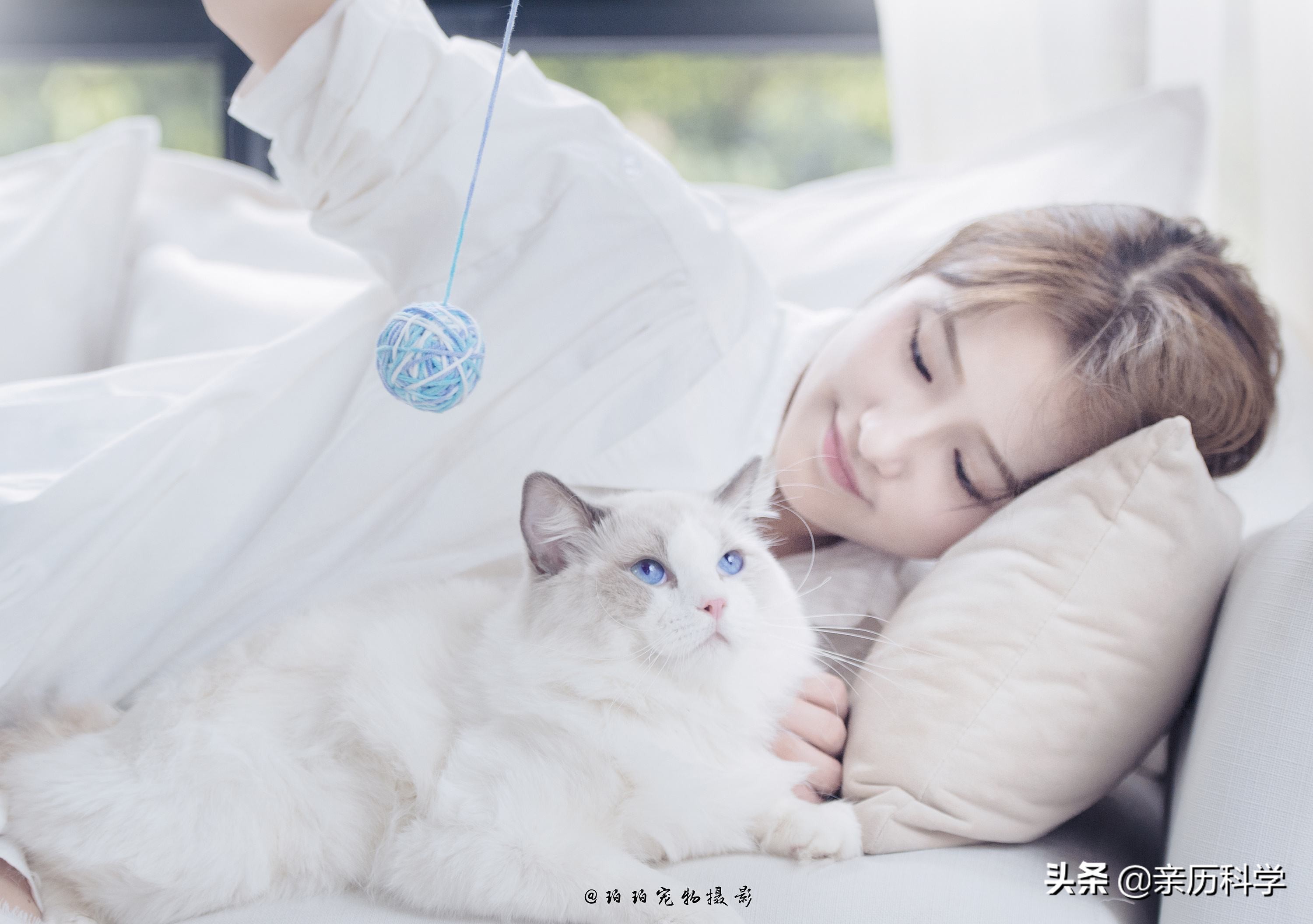 为什么宁愿选择和宠物共度一生,宠物是陪伴我们的最好方式