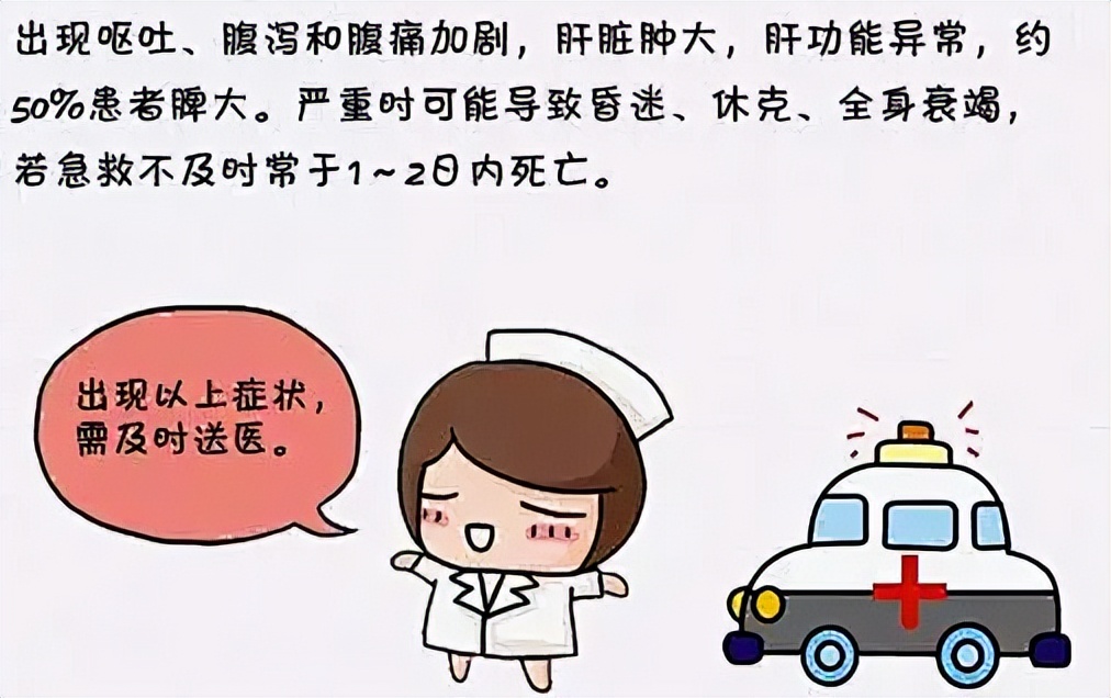 嘴馋这种豆要小心——蚕豆