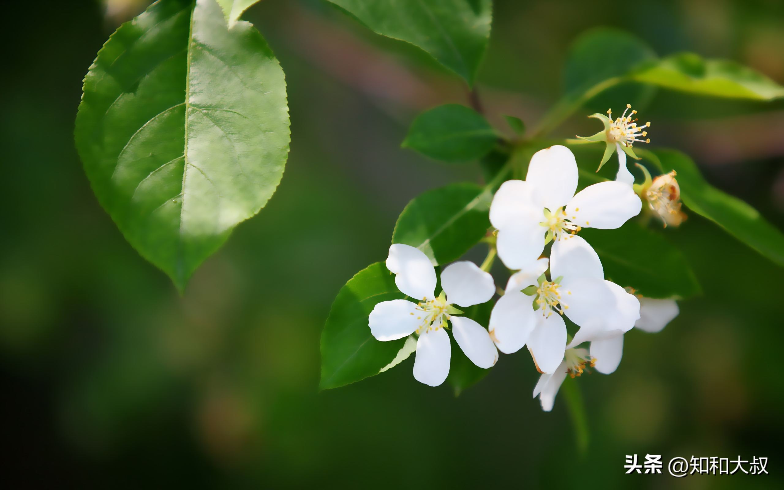 一个女人活得最好的三种状态,一个优秀女人越活越好的7个表现