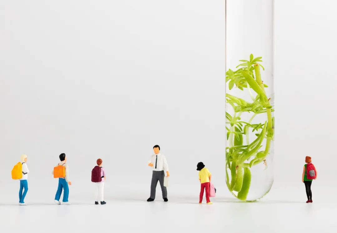 全省第二进北大光华，却说我是“小镇做题家”，“出身”重要吗？