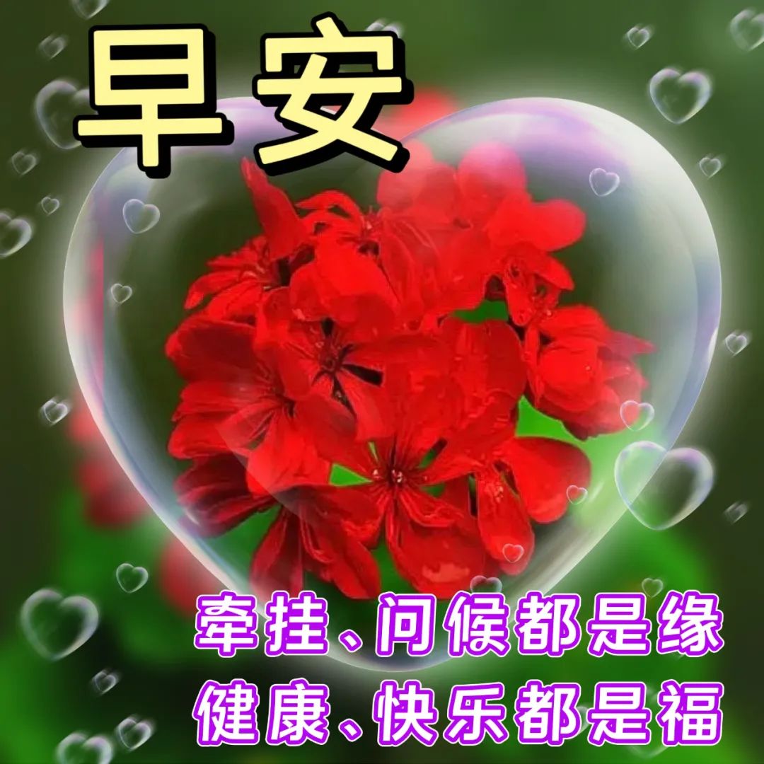 朋友关心问候语暖心感动的句子,问候祝福朋友开心快乐的温馨句子