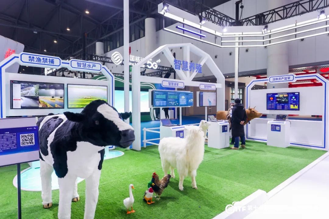 开眼了！西博城那么大的超市你见过吗