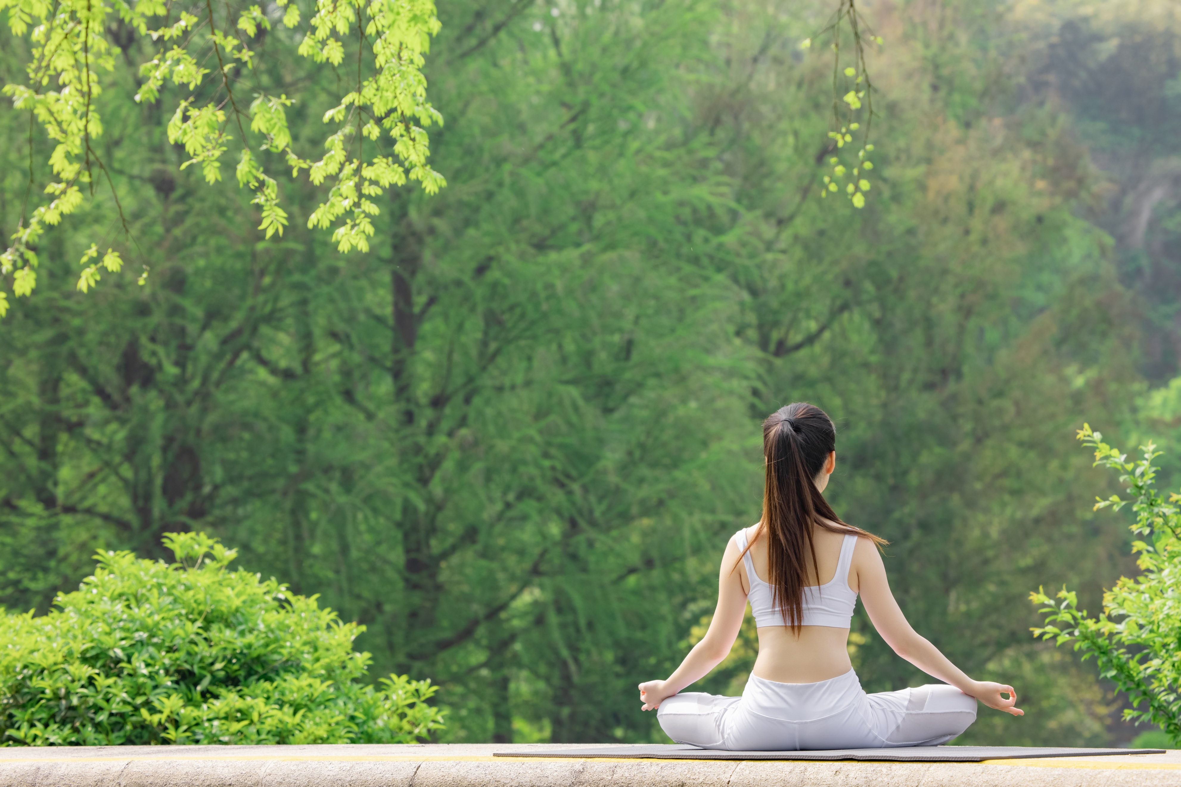 女性健康与中医调养,中医治未病关键吗