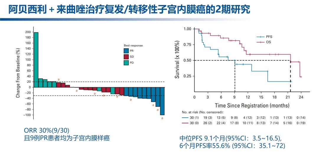 王登凤教授张国楠教授：2022年复发/转移性子宫内膜癌的研究进展