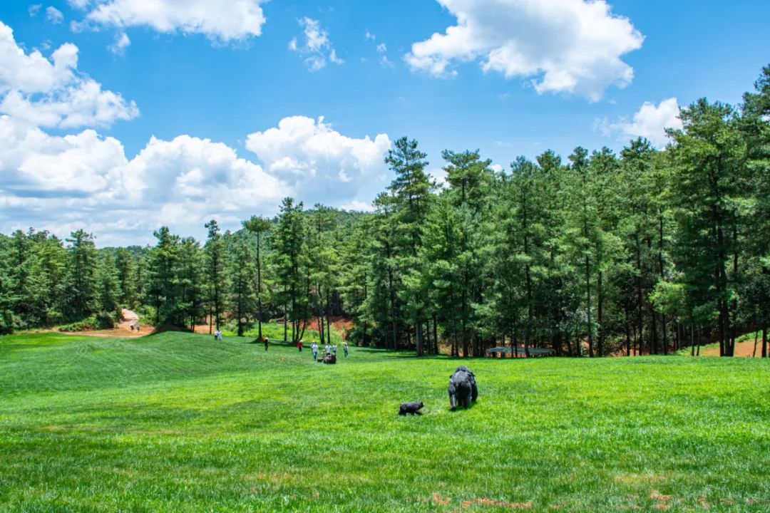昆明松鹿部落风景区现在收门票吗,昆明松鹿部落景区