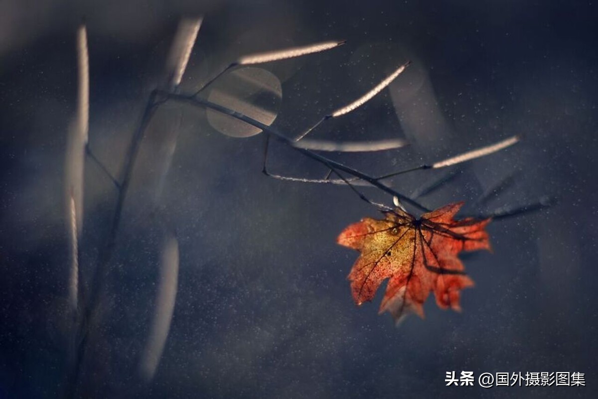 最美的景色秋天照片高清,夏天和秋天的绝美照片