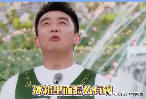 张杰谢娜道歉起波澜，这一次，内娱的毒瘤被扒得“*裤底**”都不剩了