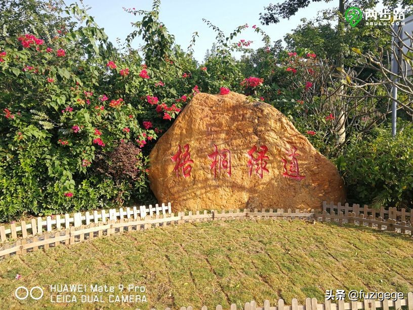 深圳徒步路线从梧桐山到盐田,深圳十峰大南山徒步最佳路线