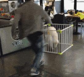 无意间看到弟弟浏览记录怎么办,刚看到弟弟的聊天记录怎么办