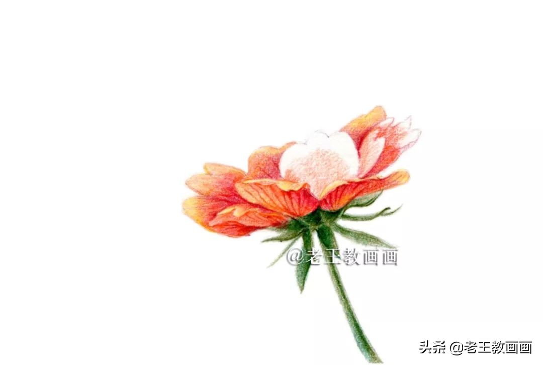 用彩铅画花教程,用彩铅画花小楼