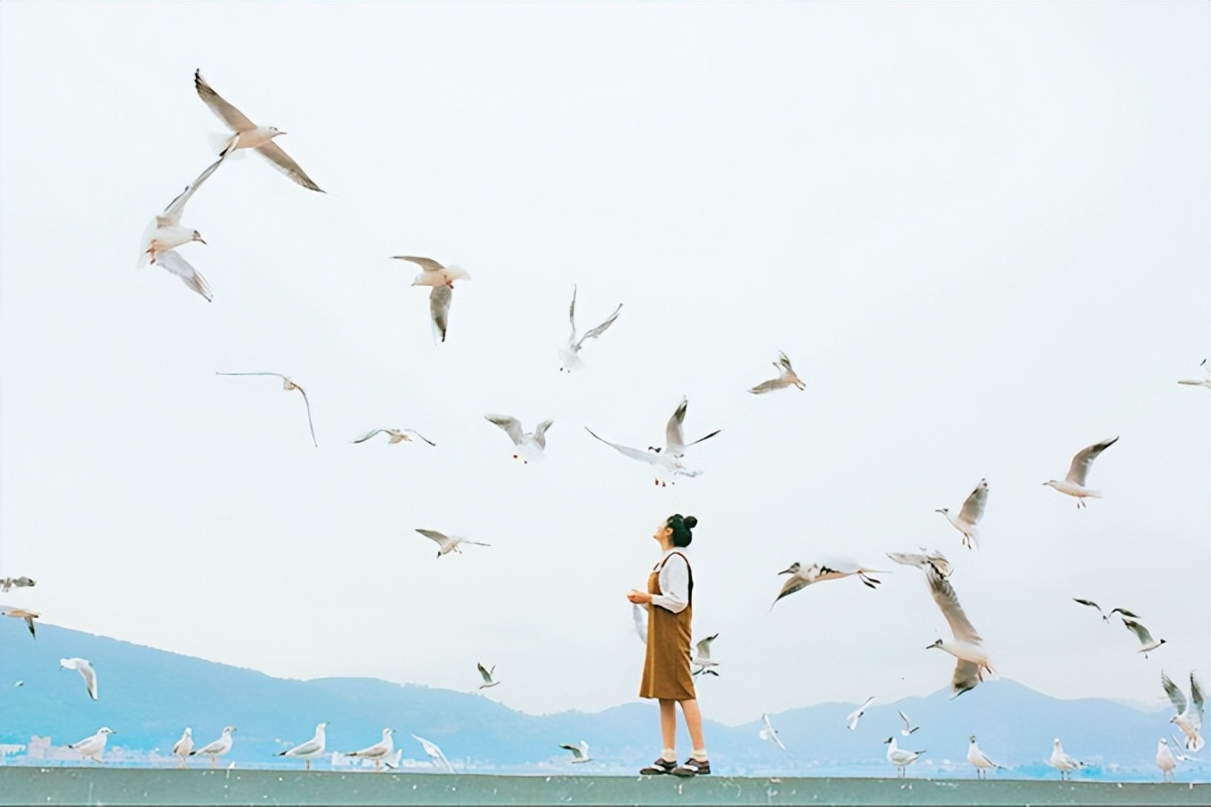 太原到青岛双飞五日游攻略图,南昌双飞青岛五日游多少钱